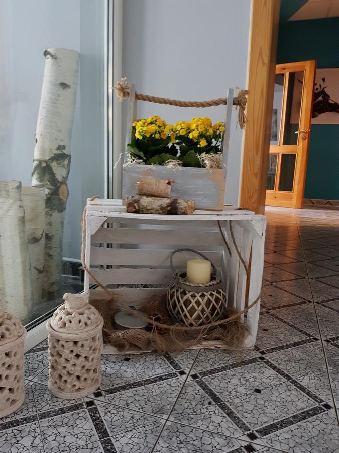 Willa Scandia Duszniki Zdrój Kültér fotó